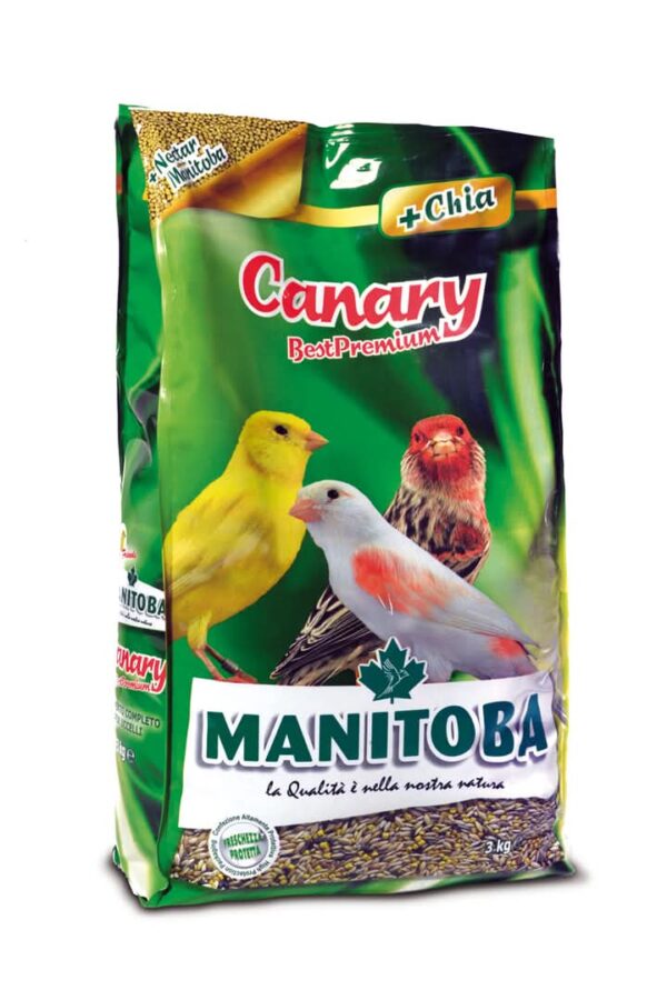 MANITOBA CANARY